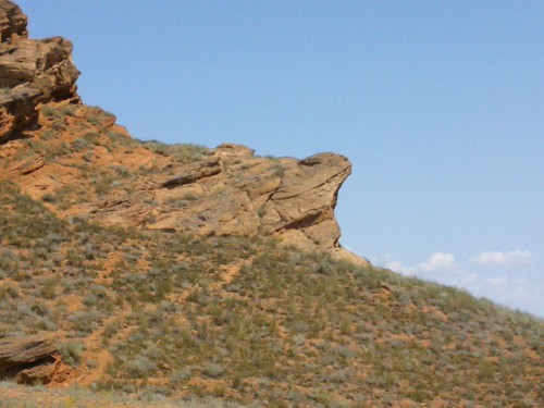 DSC_0092.jpg