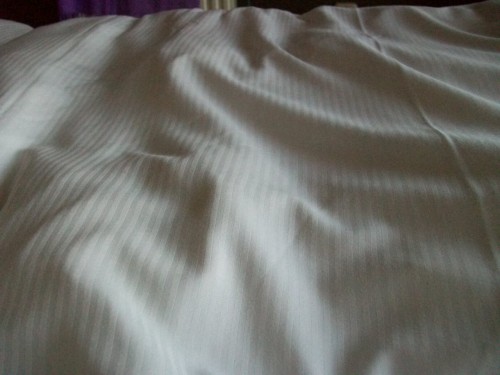 100_3656.JPG