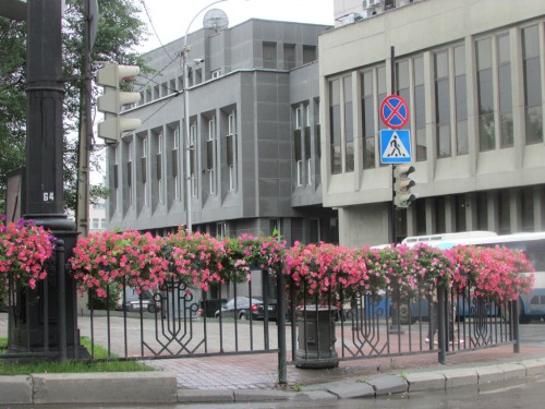 09.jpg