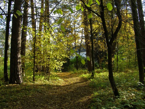 PA038008.JPG