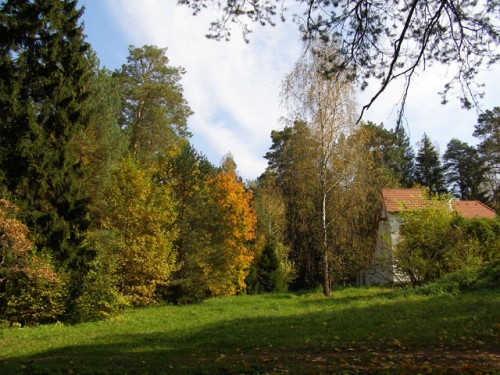 PA038010.JPG