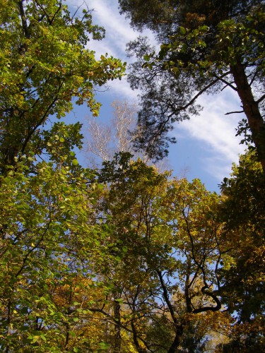 PA038017.JPG