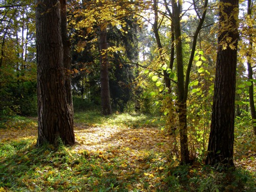 PA038012.JPG