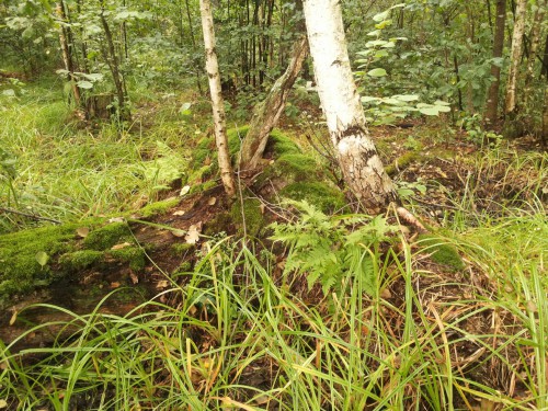 20130901_115802.jpg