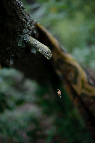20130730-DSC_9952.jpg