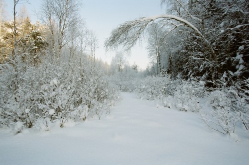 курово_02_2010_02.jpg