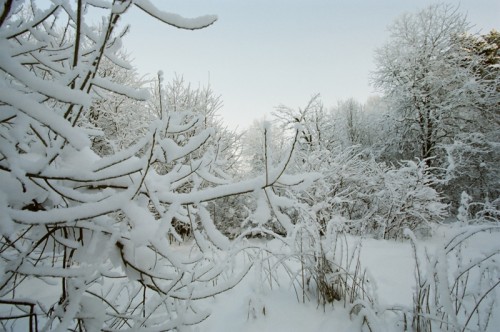 курово_02_2010_18.jpg