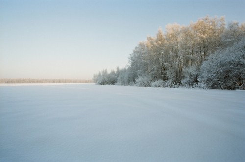 курово_02_2010_16.jpg