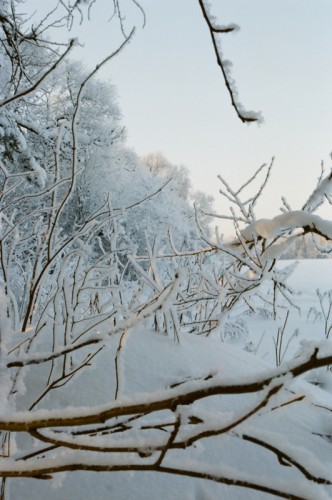 курово_02_2010_15.jpg