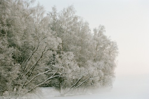 курово_02_2010_42.jpg