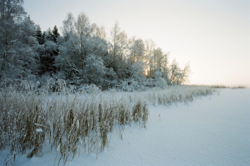 курово_02_2010_27.jpg
