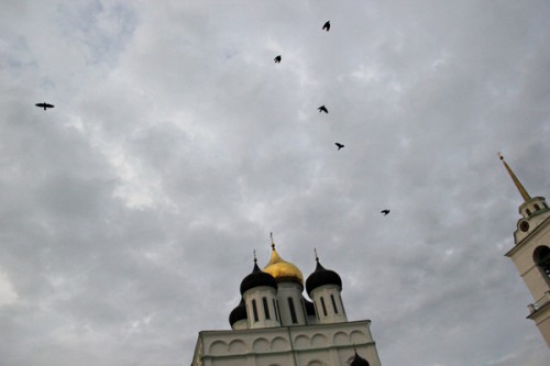 IMG_3537 2.jpg