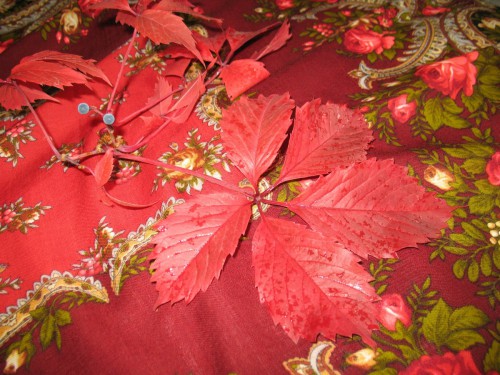 IMG_7366_1.JPG