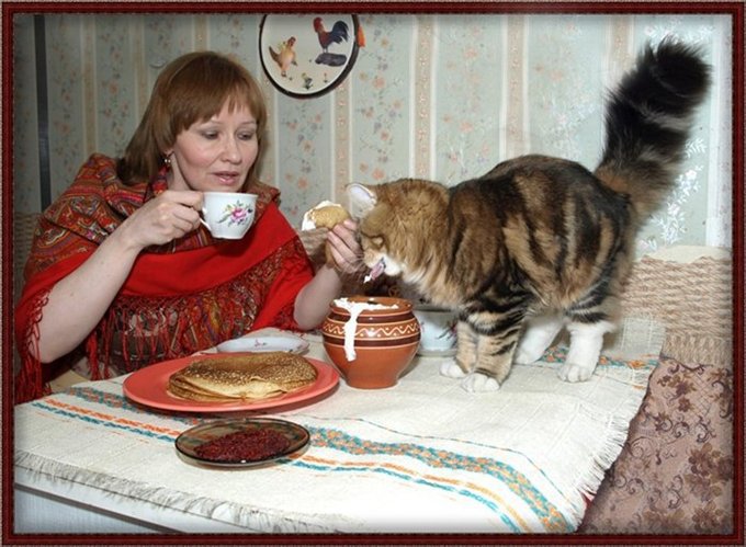 Не все коту масленница.jpg