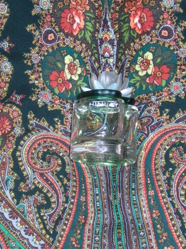 Hinlay и Волшебница зеленая