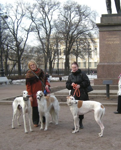 Фламенко 1185-7,  Елена Жукова