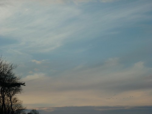 P1120407+.JPG