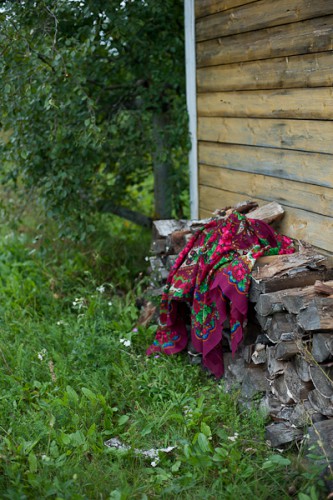 svekla-14.JPG