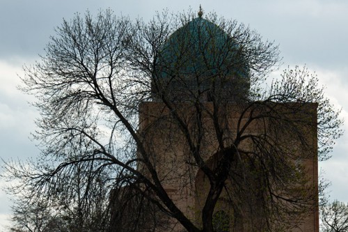 DSC_1134.jpg