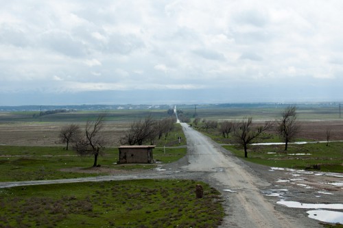 DSC_1224.jpg