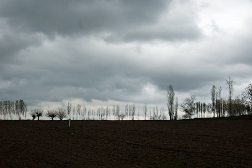 DSC_1250.jpg