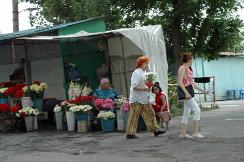 DSC_0068.jpg