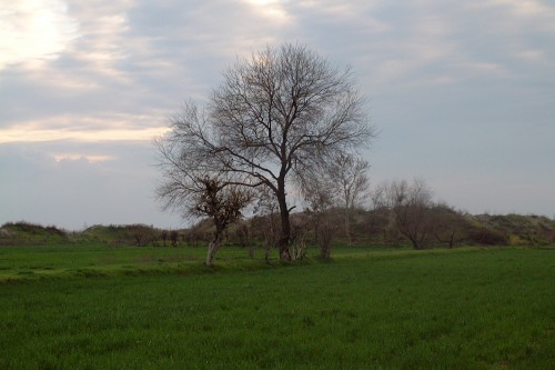 DSCF0585.jpg