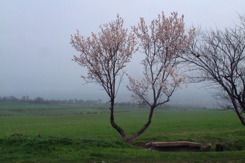 DSCF0579.jpg