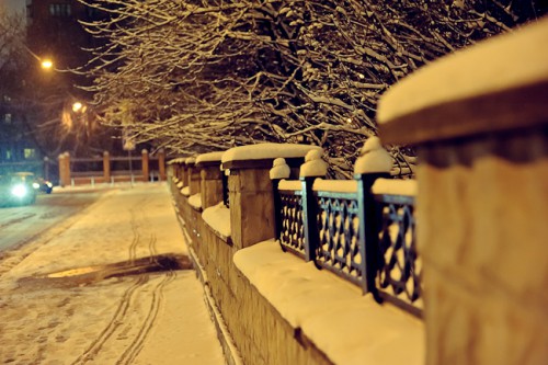 DSC_1380.JPG