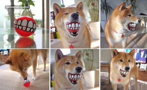 s3hnsajQbSw.jpg