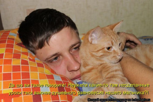 1140623.jpg