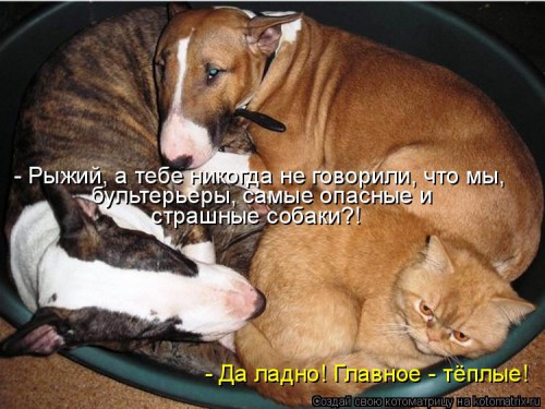 907320.jpg