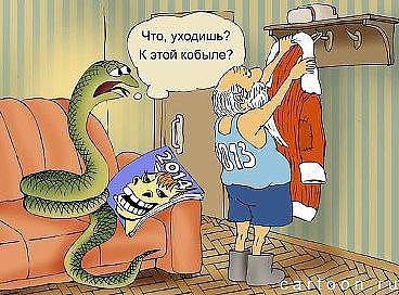 кобыла.jpg
