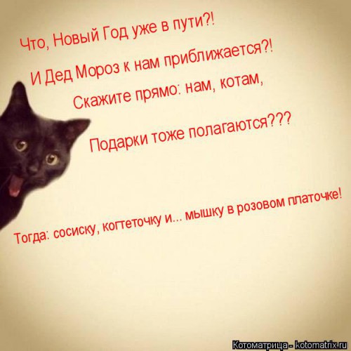 kotomatritsa_E_.jpg