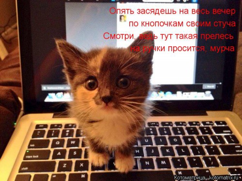 kotomatritsa_dA.jpg