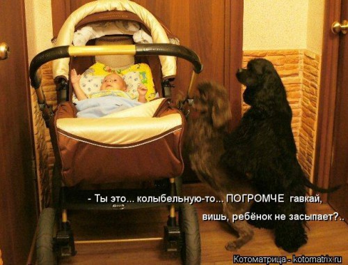 kotomatritsa_3N.jpg