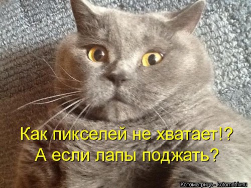 kotomatritsa_sIh.jpg
