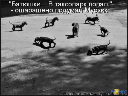 1295018102_kotomatrix_10.jpg