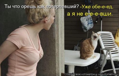 kotomatritsa_p0.jpg
