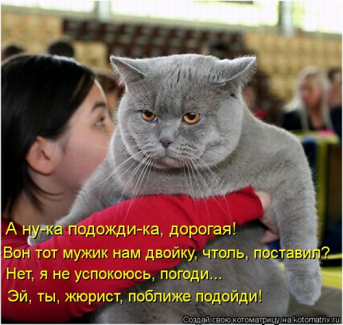 kotomatritsa_FY.jpg