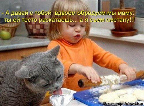 kotomatritsa_YN.jpg