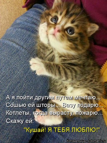 kotomatritsa_roU.jpg