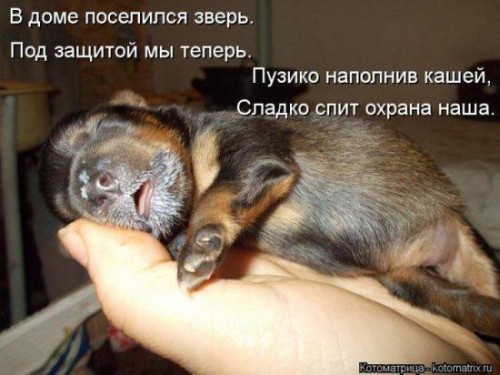 0376b46e22b8fbdbc96f33b2b14f7f41.jpg