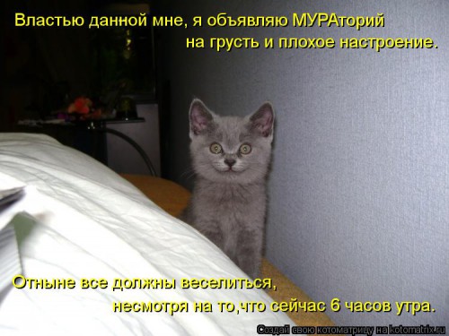 kotomatritsa_6I.jpg