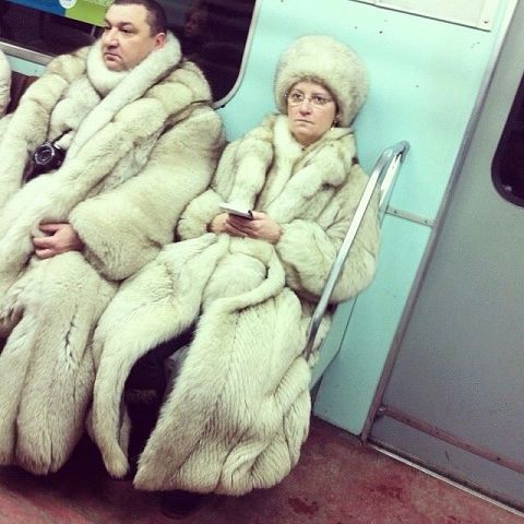 бояре.jpg