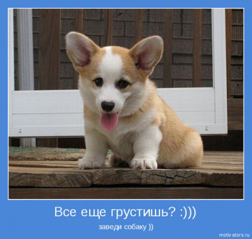 1295995332_motivator-13167.jpg