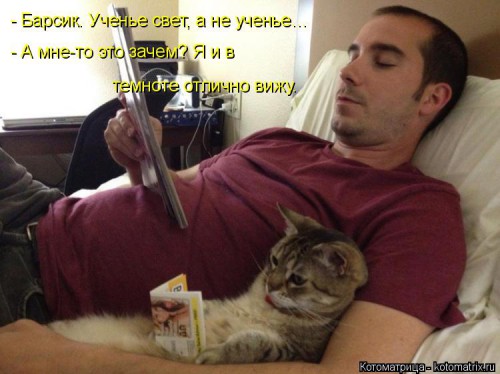 kotomatritsa__V.jpg