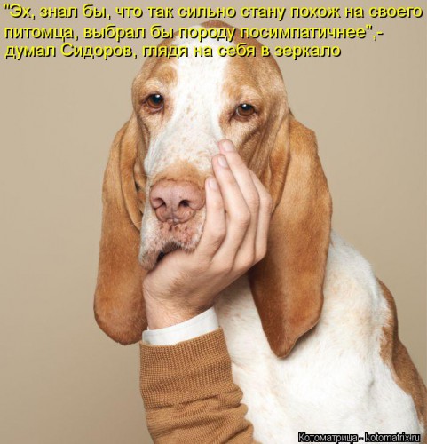 kotomatritsa_W.jpg