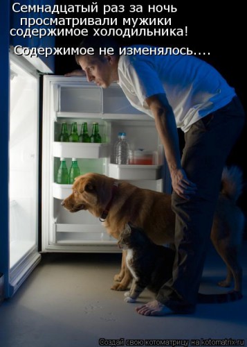 kotomatritsa_Qg.jpg