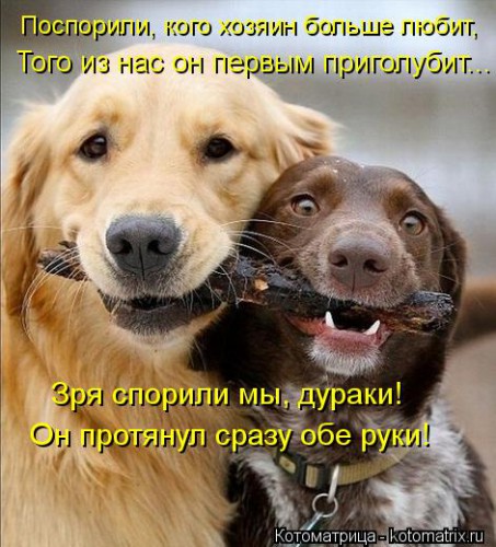 kotomatritsa_0s.jpg